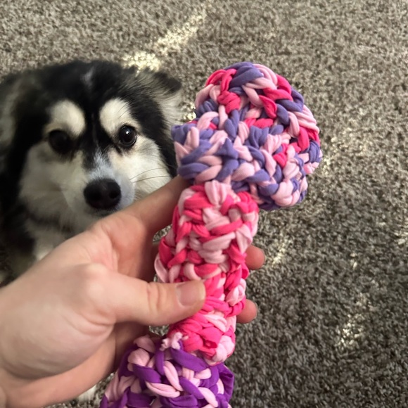 Dog toy - pomsky’s favorite toy - Picture 3 of 7